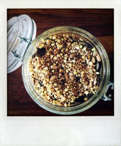 Raw Sprouted Granola